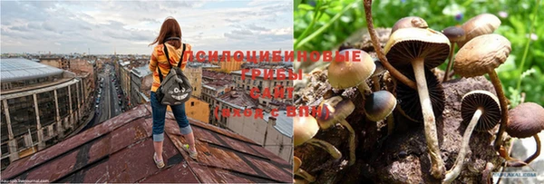 кокаин VHQ Волоколамск