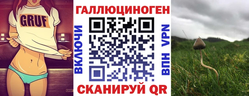 Галлюциногенные грибы MAGIC MUSHROOMS  Домодедово 